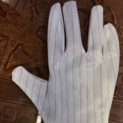 Alternative view of Bao tay phòng sạch.